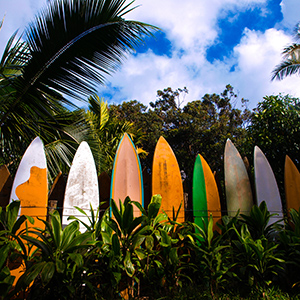 surfboards